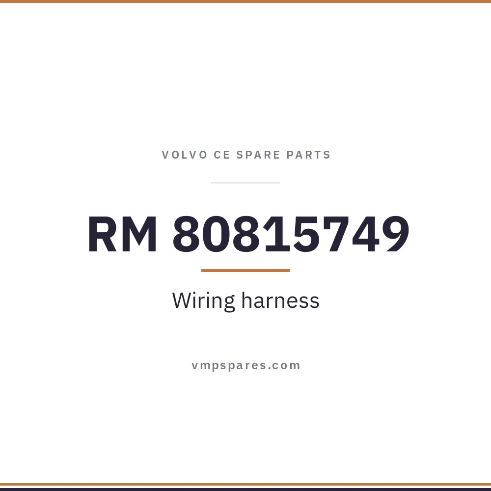 RM 80815749 – Wiring harness