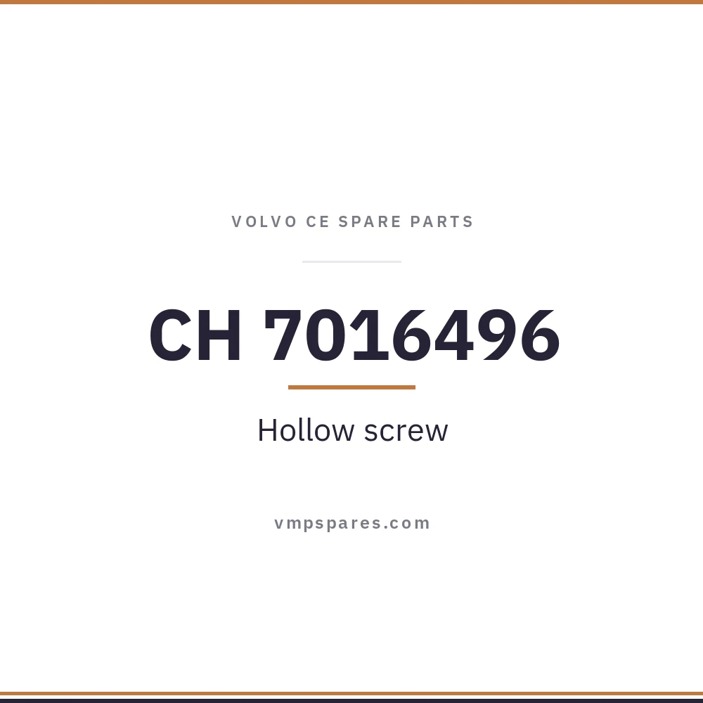 CH 7016496 – Hollow screw