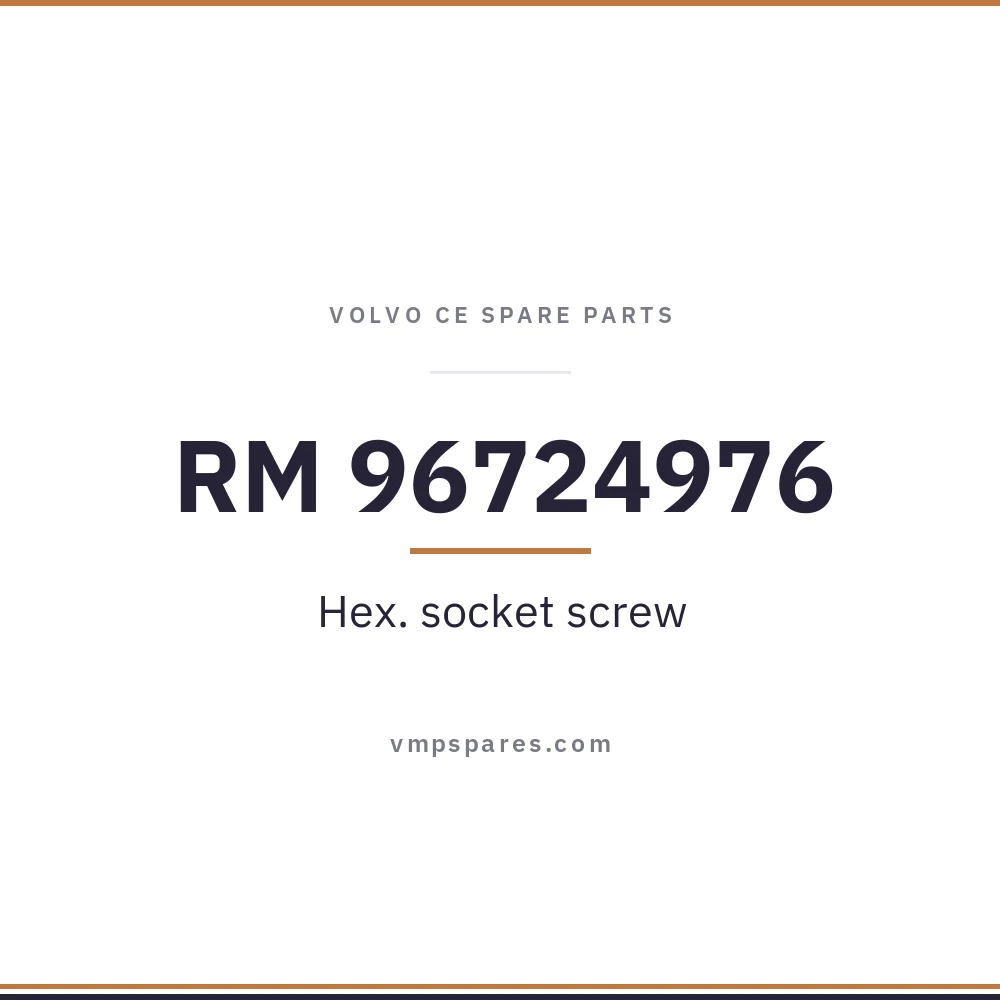 RM 96724976 – Hex. socket screw