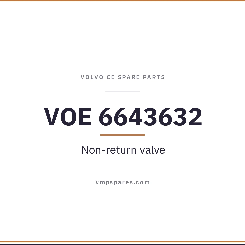 VOE 6643632 – Non-return valve
