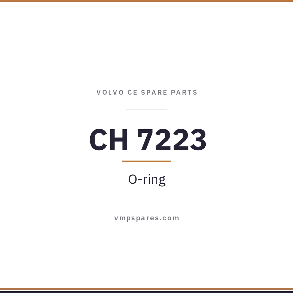 CH 7223 – O-ring