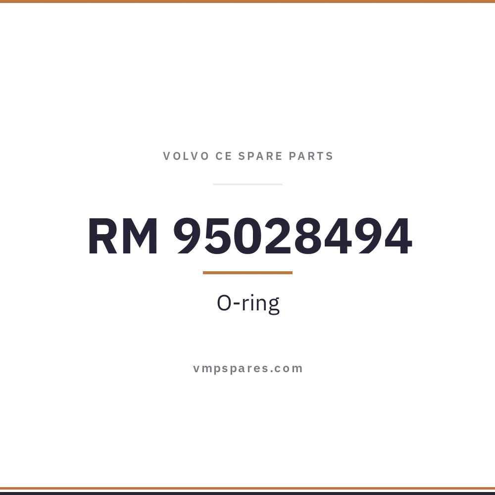 RM 95028494 – O-ring