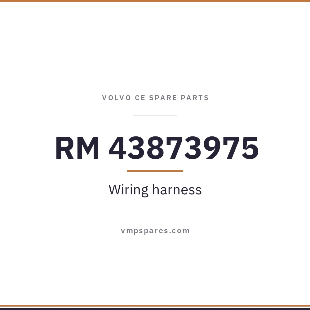 RM 43873975 – Wiring harness