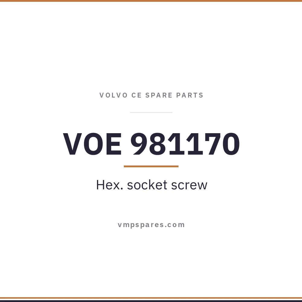 VOE 981170 – Hex. socket screw