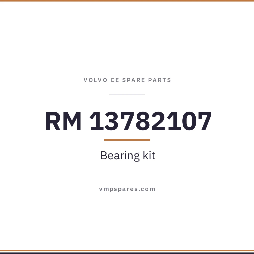 RM 13782107 – Bearing kit
