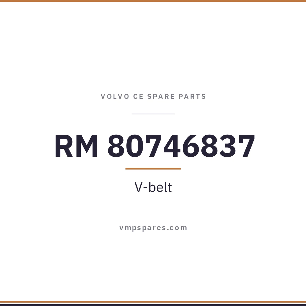 RM 80746837 – V-belt