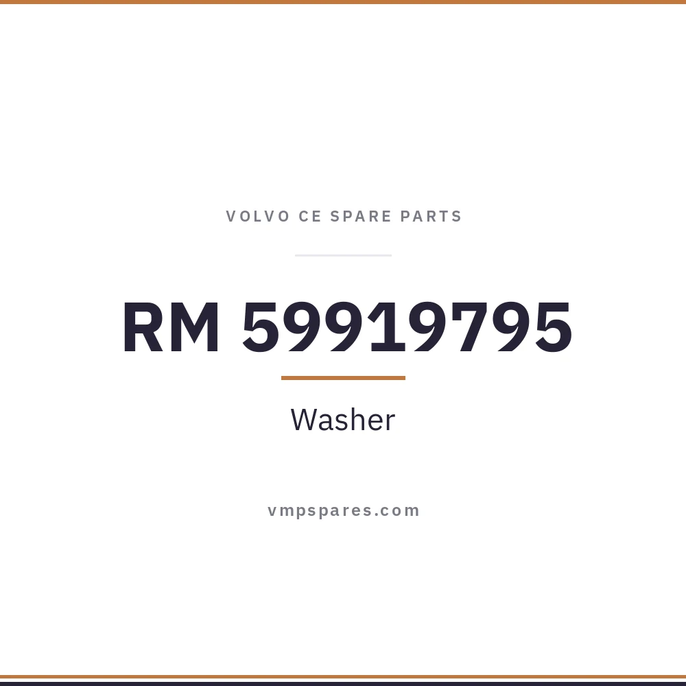 RM 59919795 – Washer