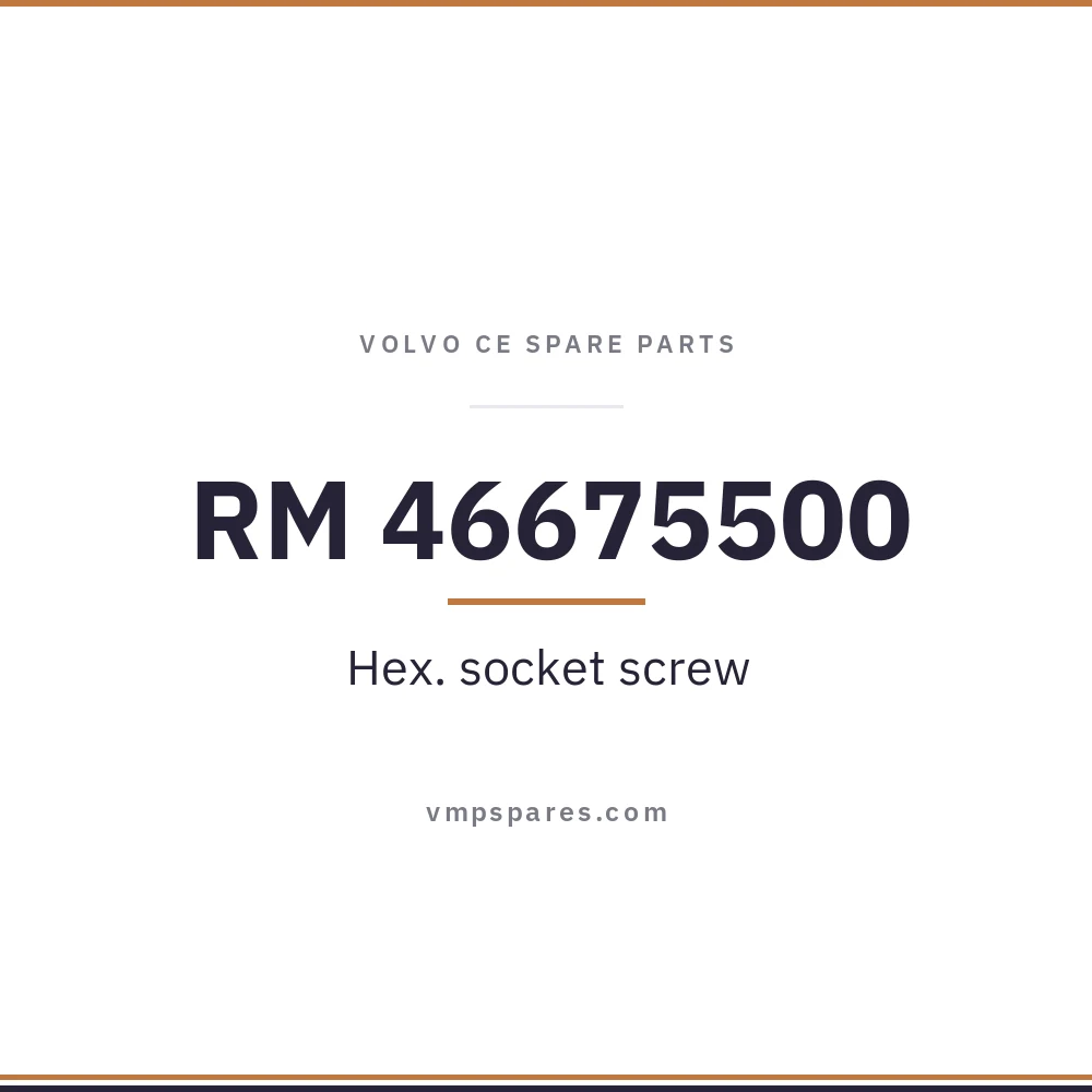 RM 46675500 – Hex. socket screw