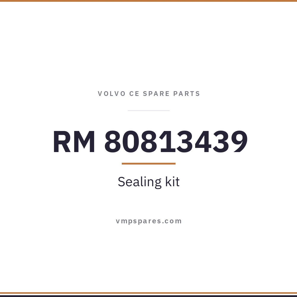 RM 80813439 – Sealing kit