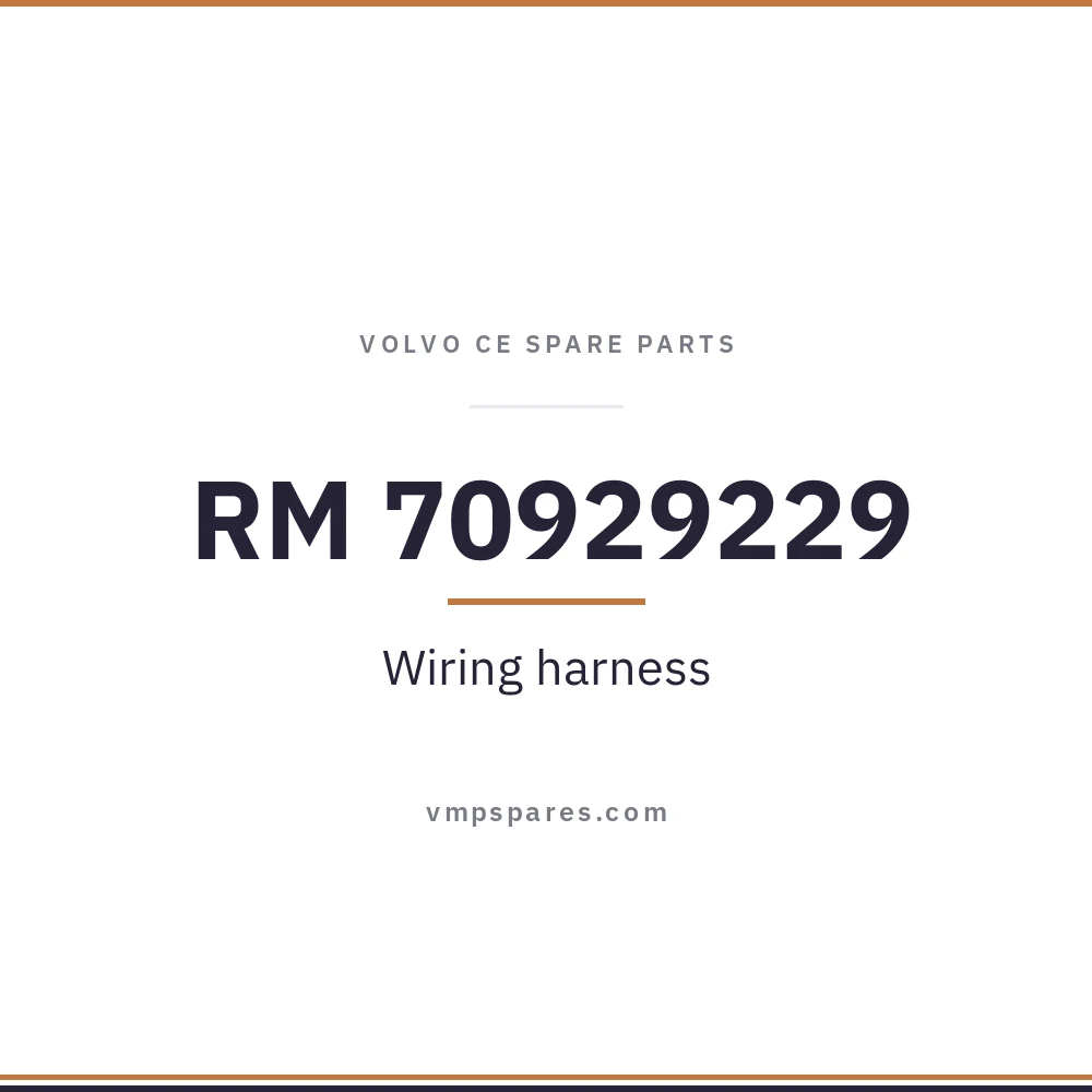 RM 70929229 – Wiring harness