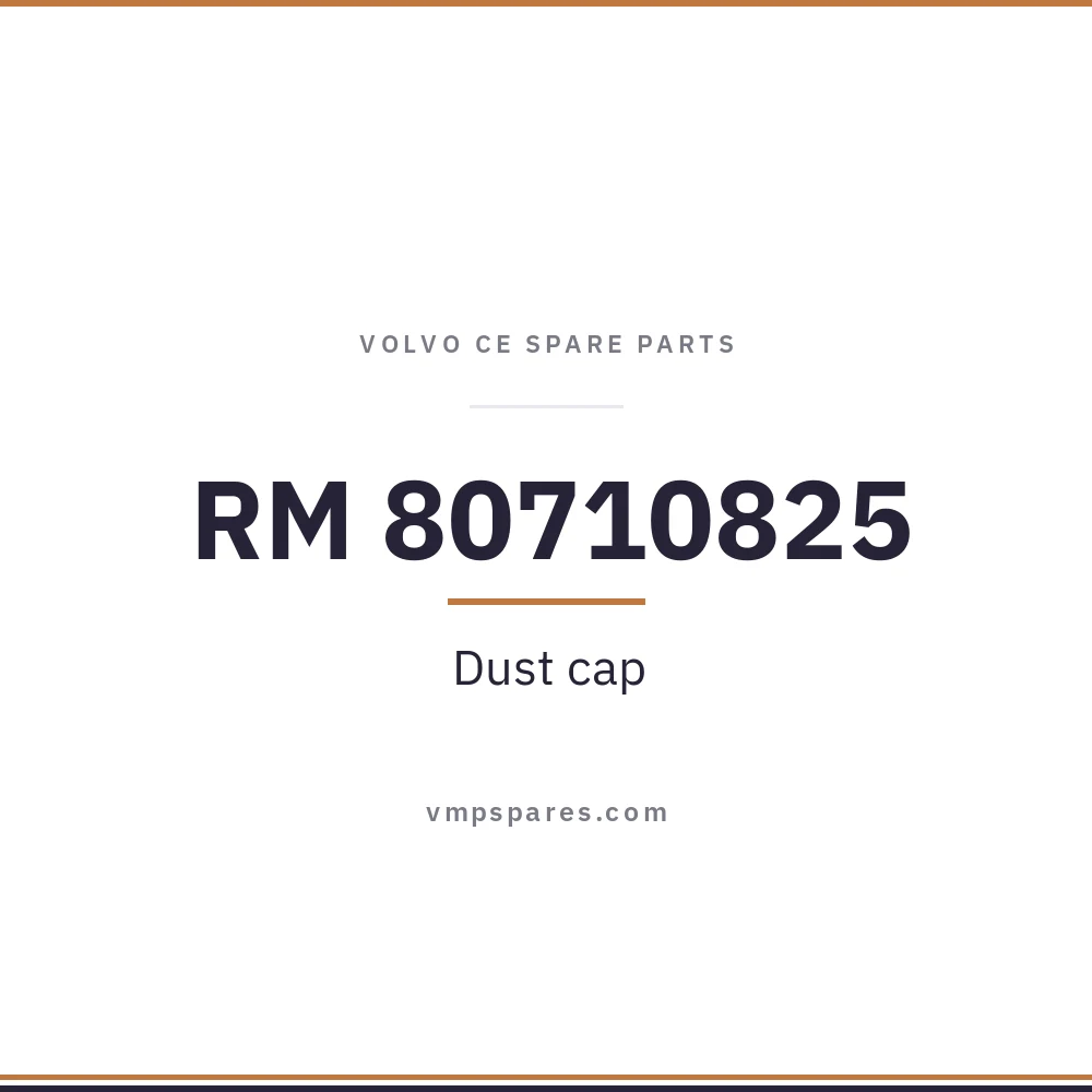 RM 80710825 – Dust cap