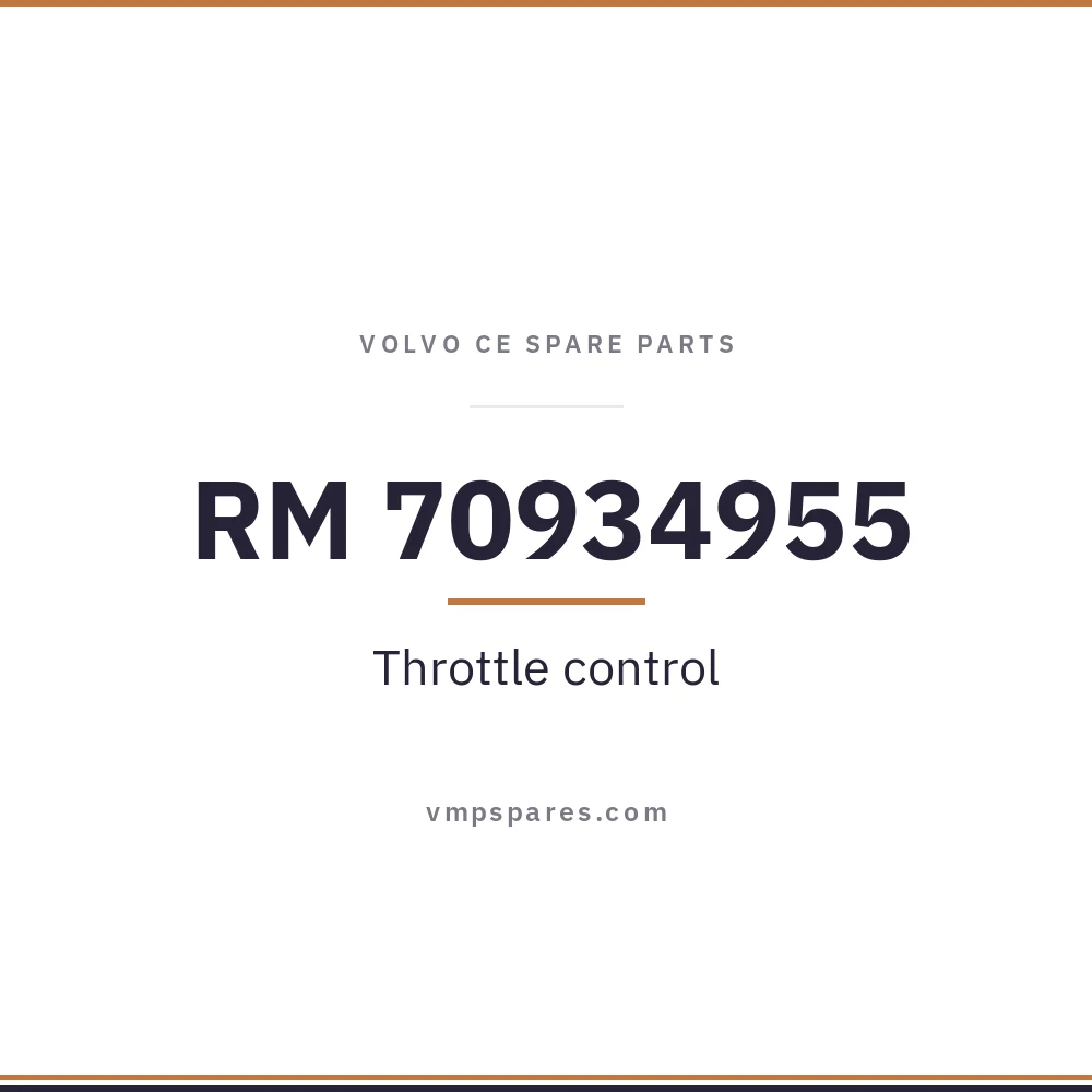 RM 70934955 – Throttle control