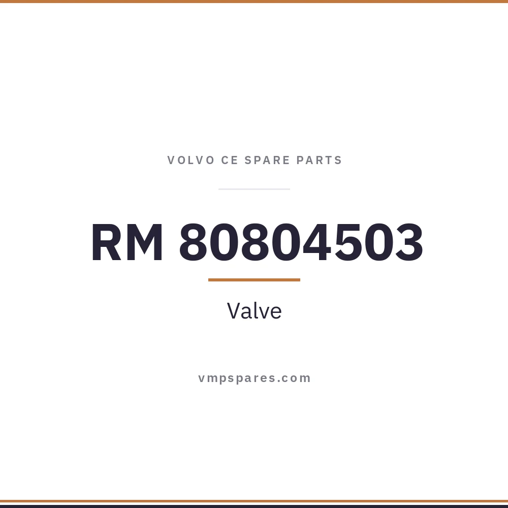 RM 80804503 – Valve