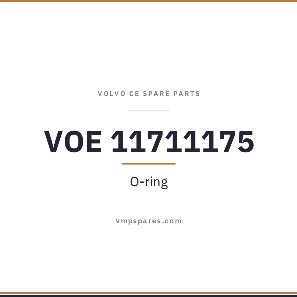 VOE 11711175 – O-ring