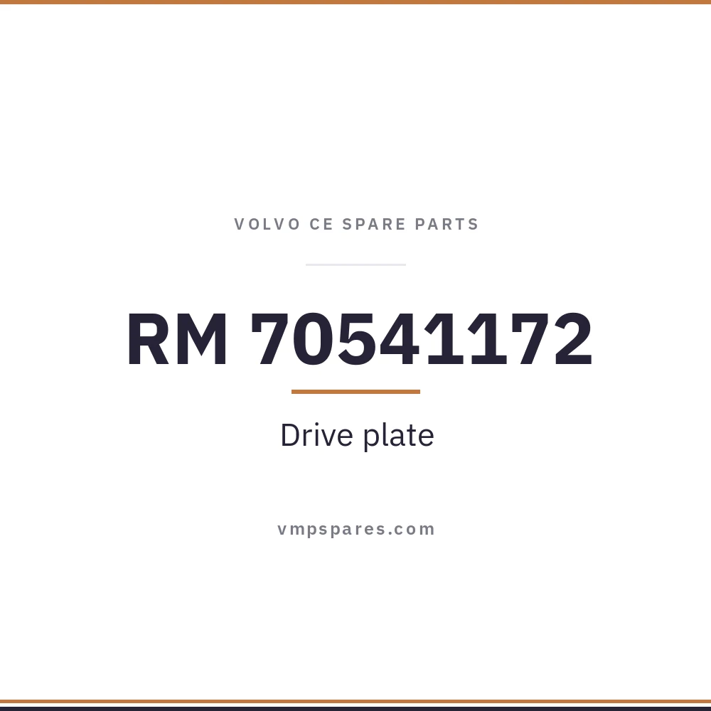 RM 70541172 – Drive plate