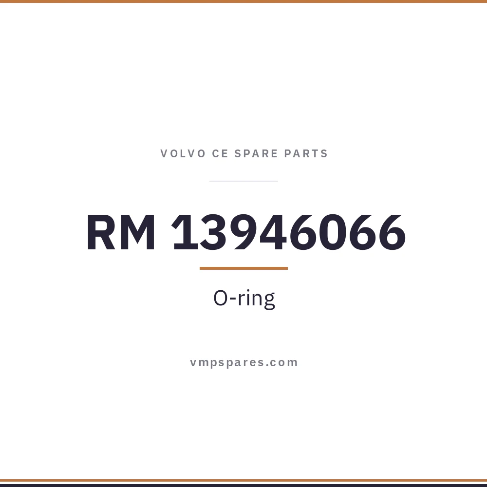 RM 13946066 – O-ring