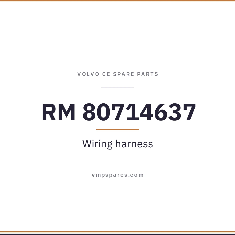 RM 80714637 – Wiring harness