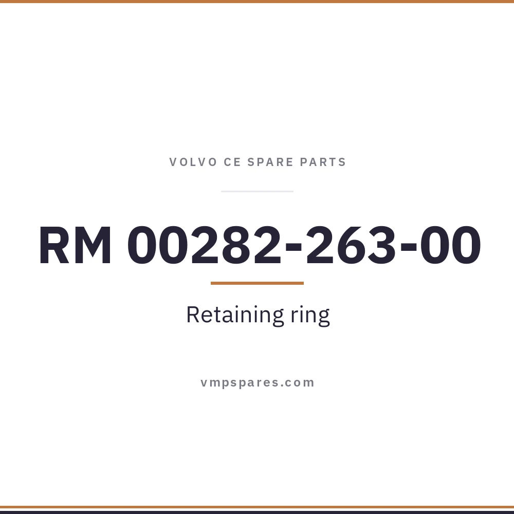 RM 00282-263-00 – Retaining ring