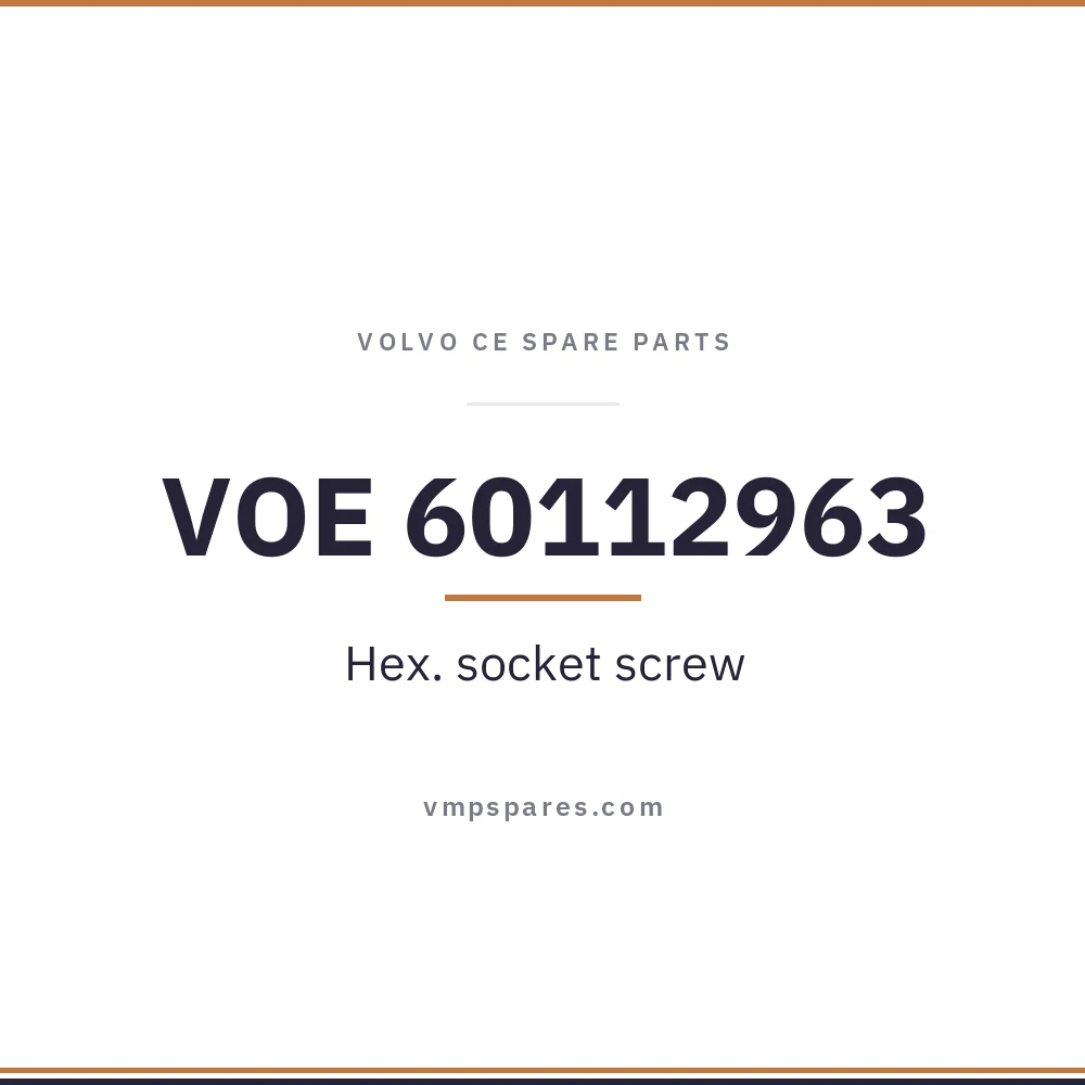 VOE 60112963 – Hex. socket screw