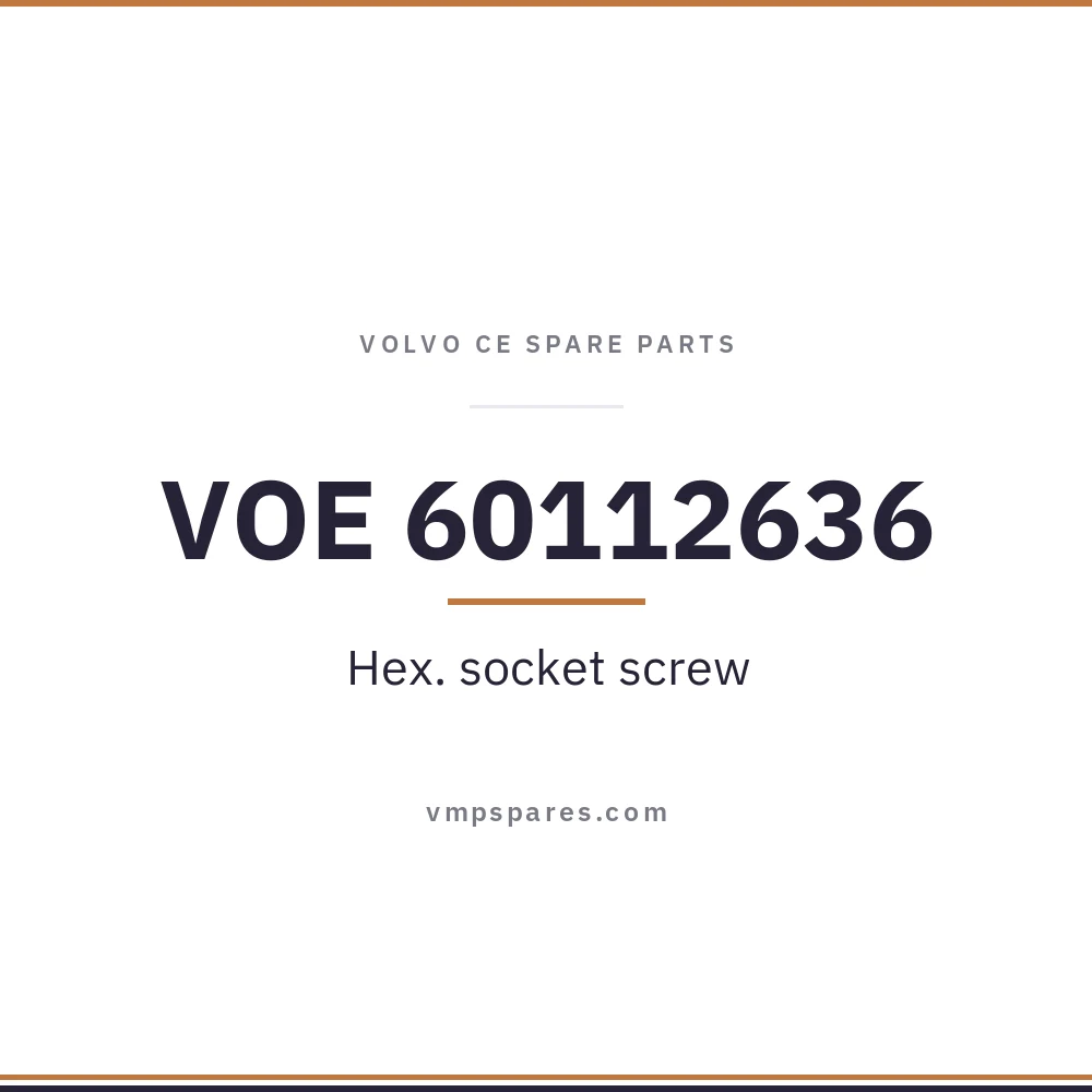 VOE 60112636 – Hex. socket screw