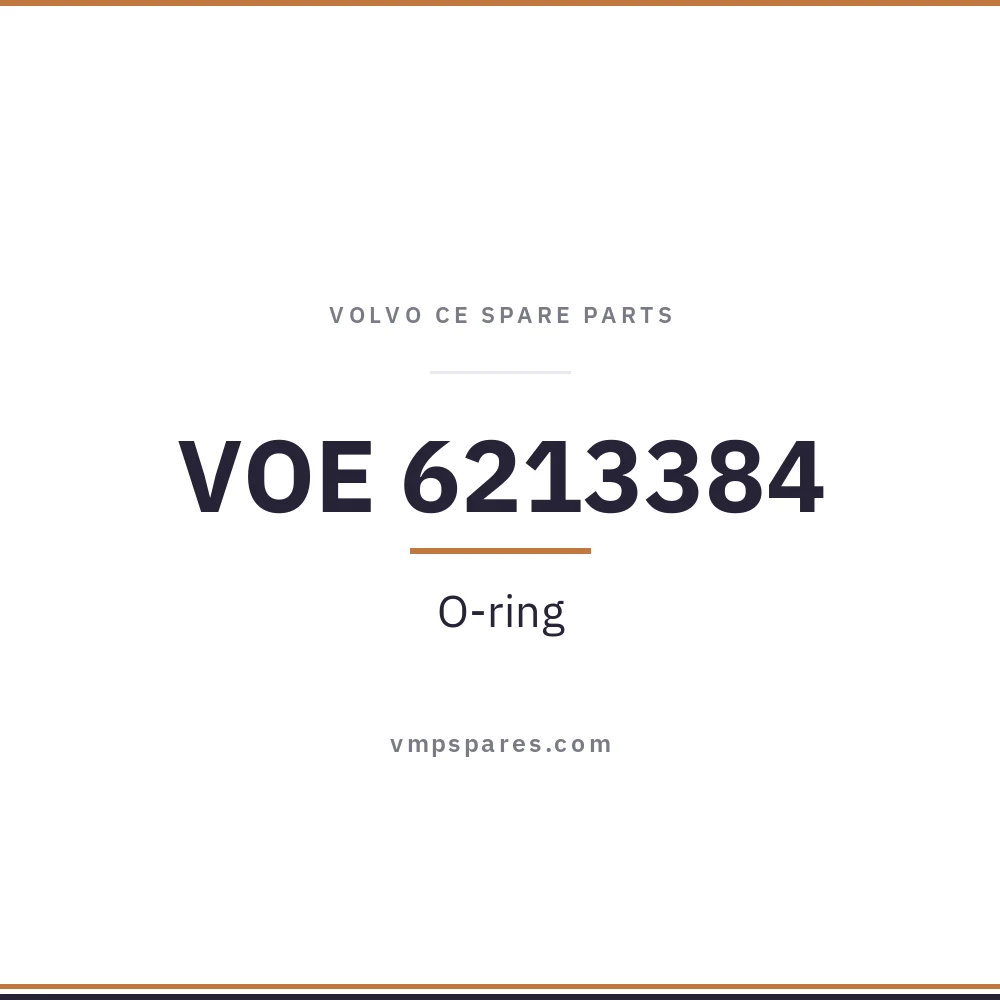 VOE 6213384 – O-ring