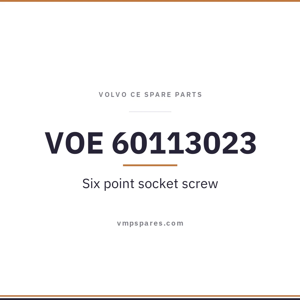 VOE 60113023 – Six point socket screw