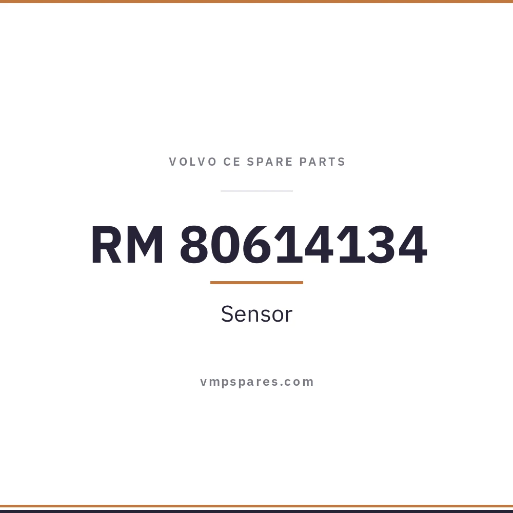 RM 80614134 – Sensor