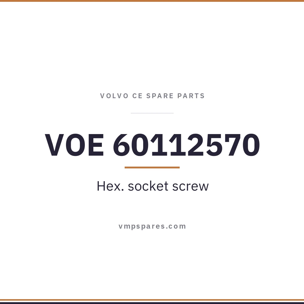 VOE 60112570 – Hex. socket screw