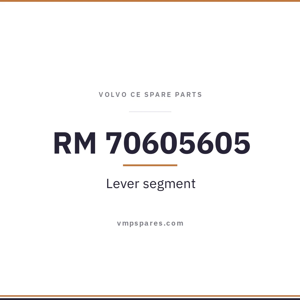 RM 70605605 – Lever segment