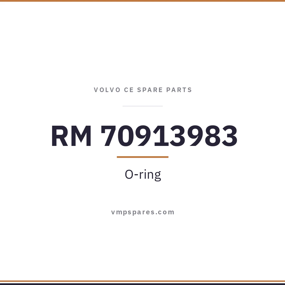 RM 70913983 – O-ring