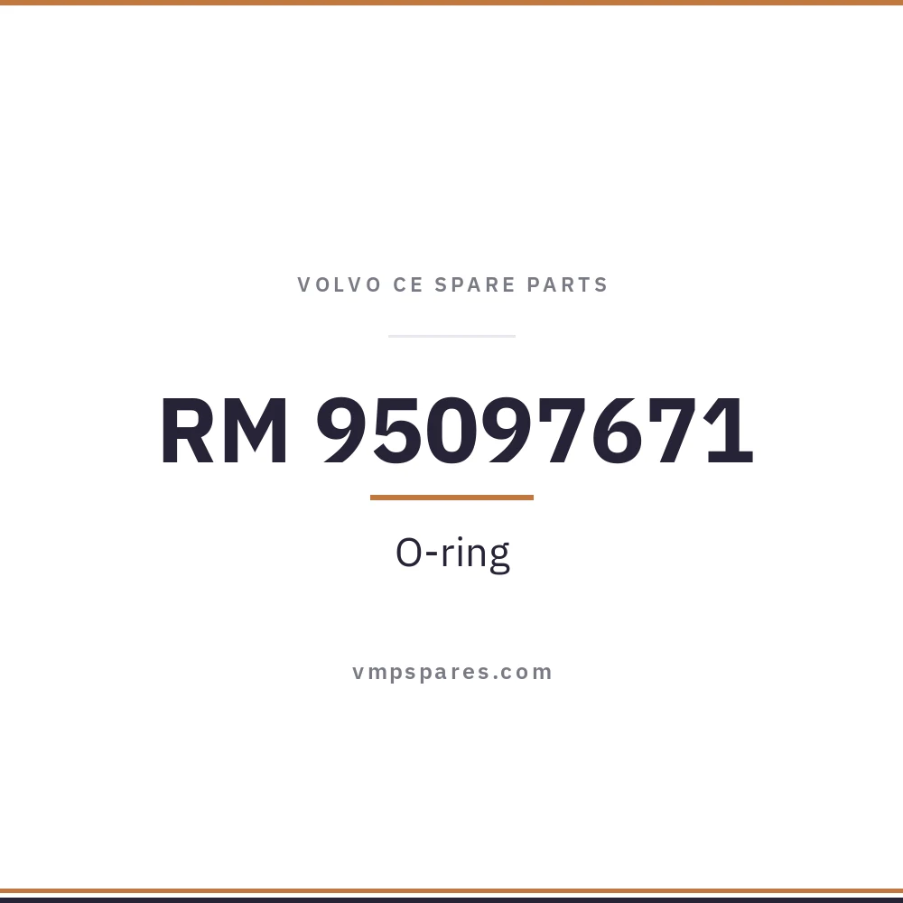 RM 95097671 – O-ring