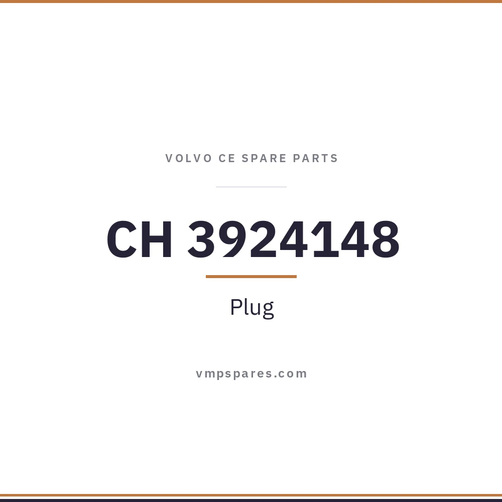 CH 3924148 – Plug