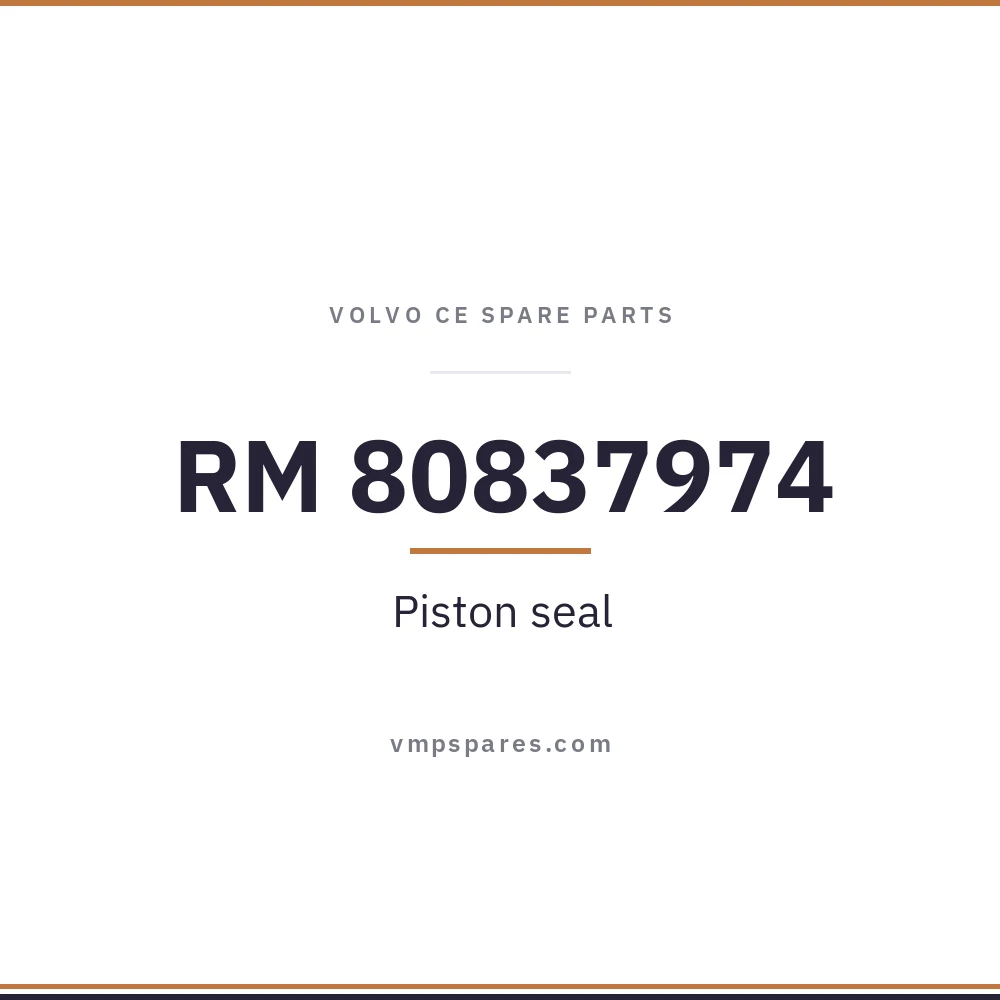 RM 80837974 – Piston seal