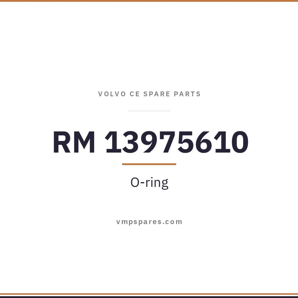 RM 13975610 – O-ring