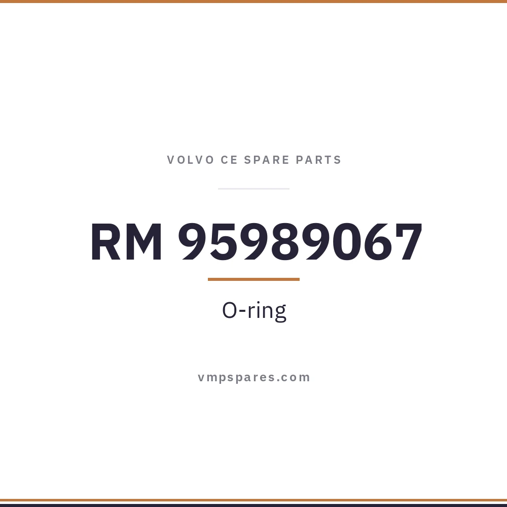 RM 95989067 – O-ring