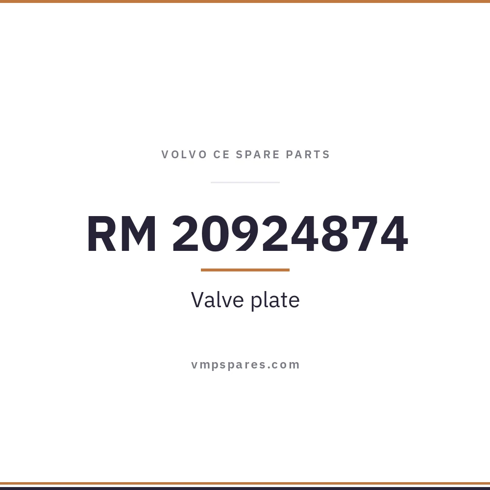 RM 20924874 – Valve plate
