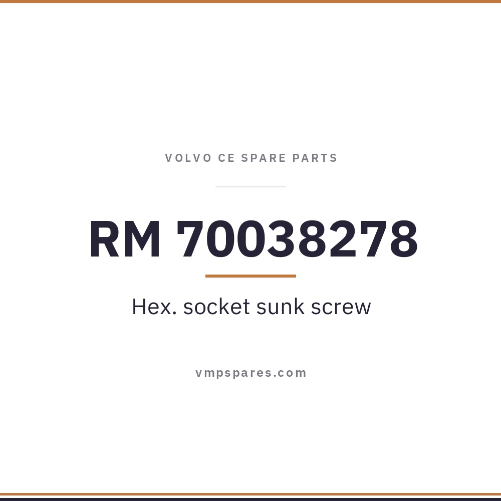 RM 70038278 – Hex. socket sunk screw