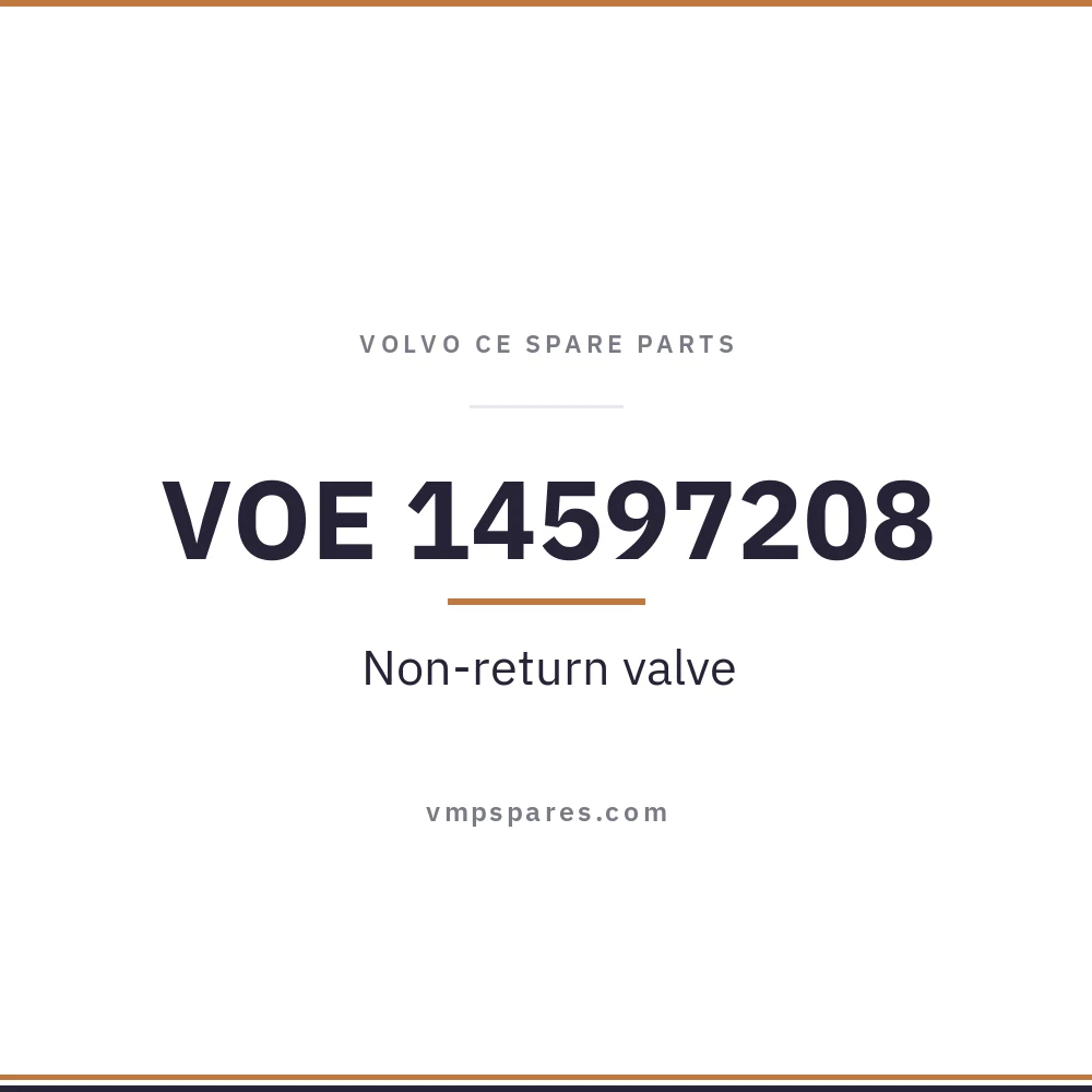 VOE 14597208 – Non-return valve