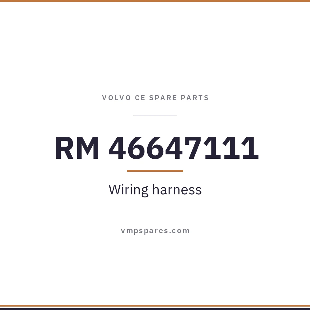 RM 46647111 – Wiring harness