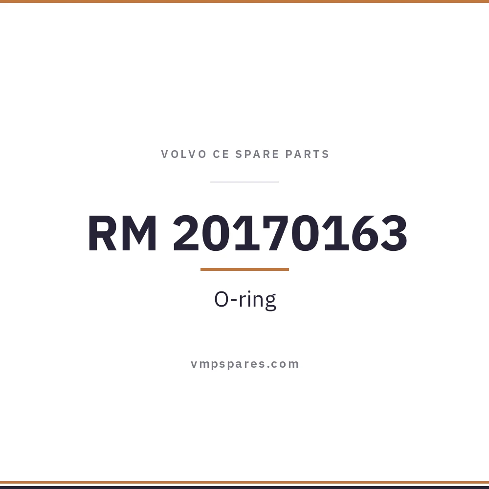 RM 20170163 – O-ring