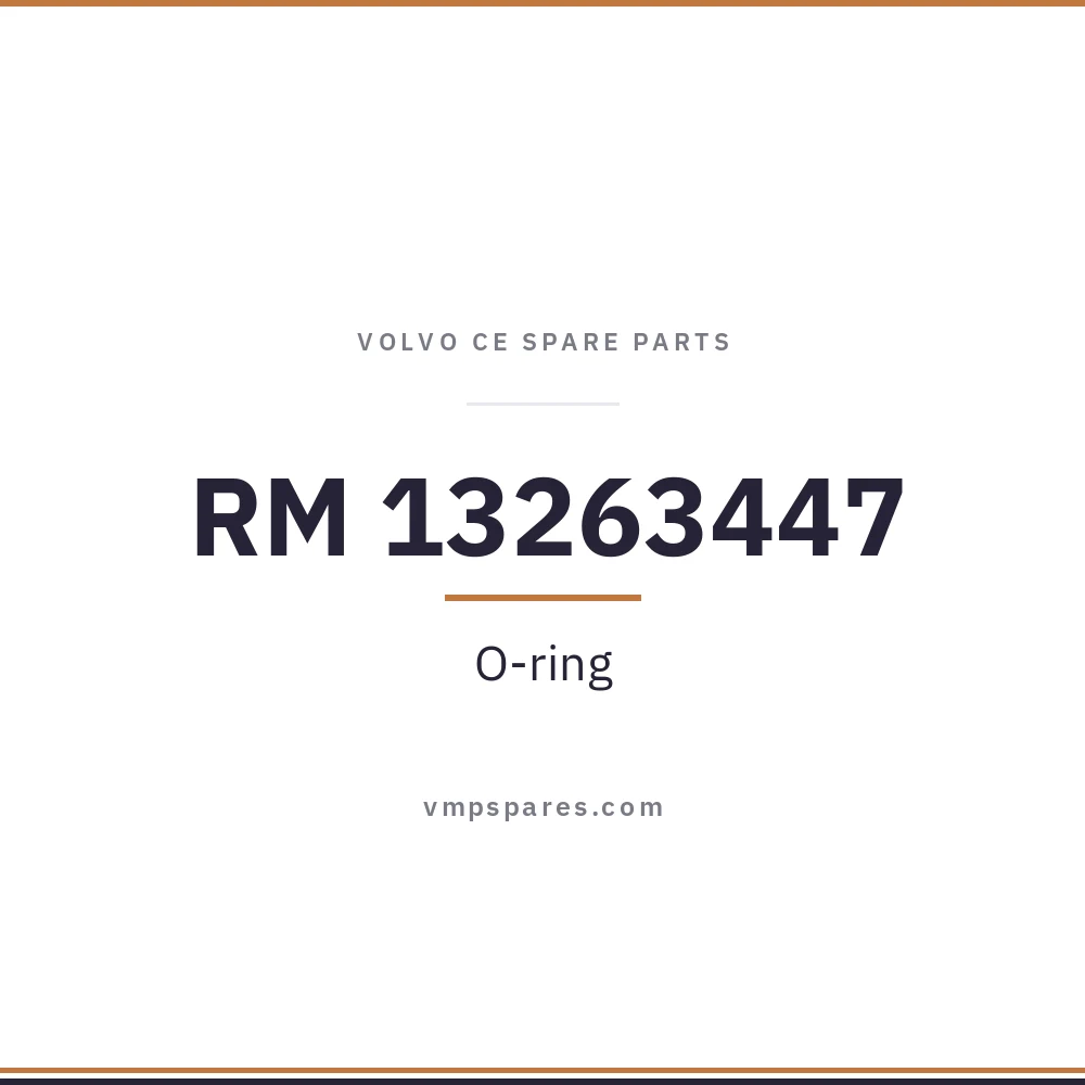 RM 13263447 – O-ring
