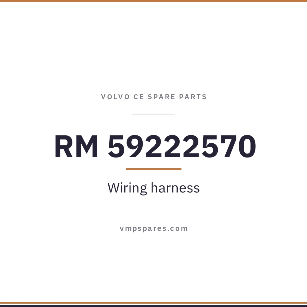 RM 59222570 – Wiring harness