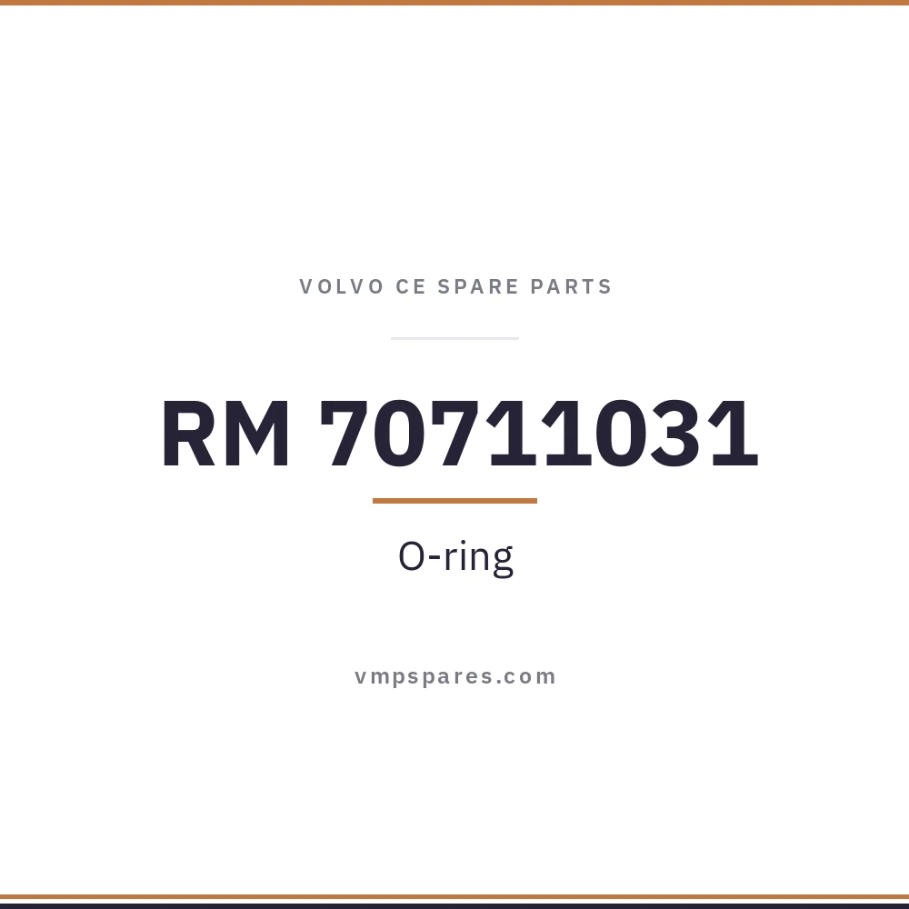 RM 70711031 – O-ring