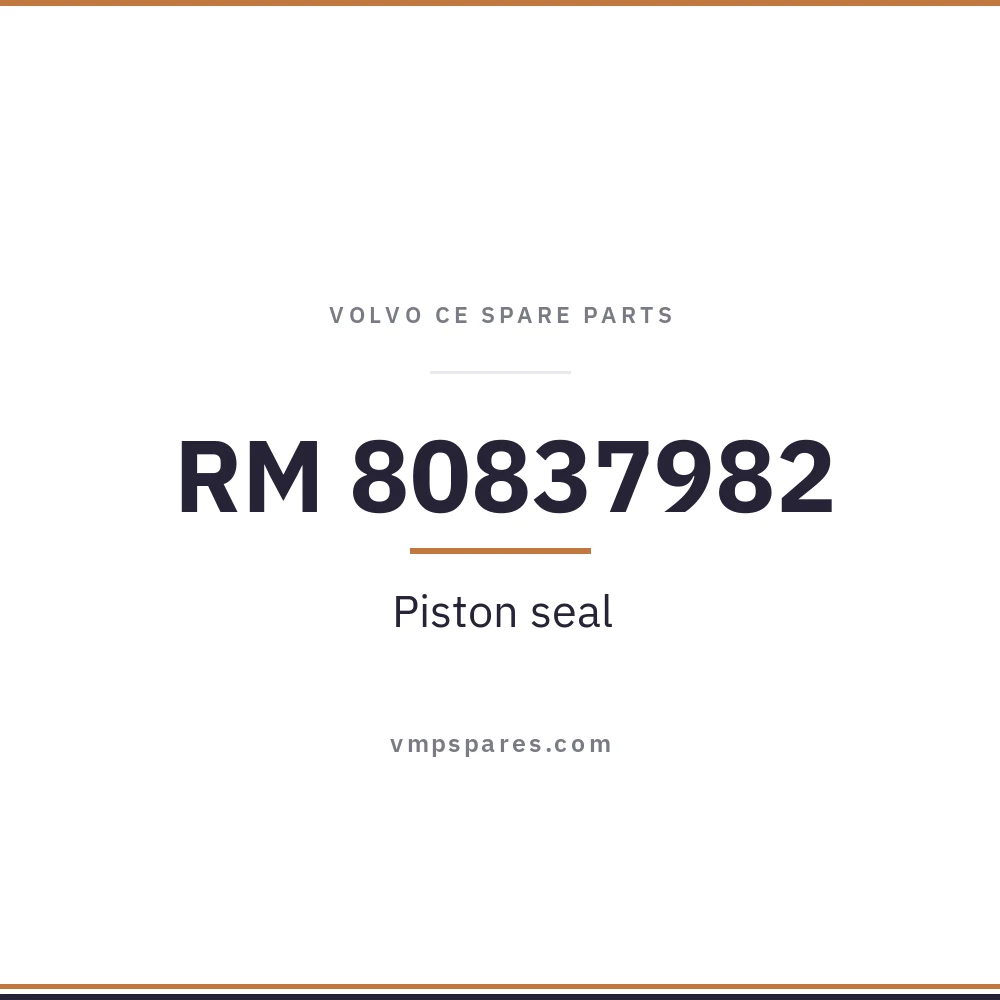 RM 80837982 – Piston seal