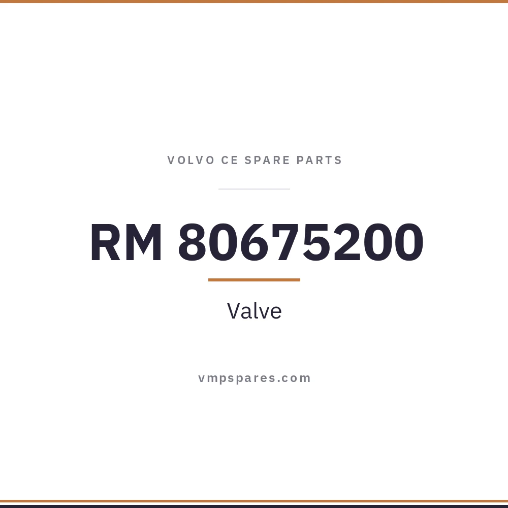 RM 80675200 – Valve