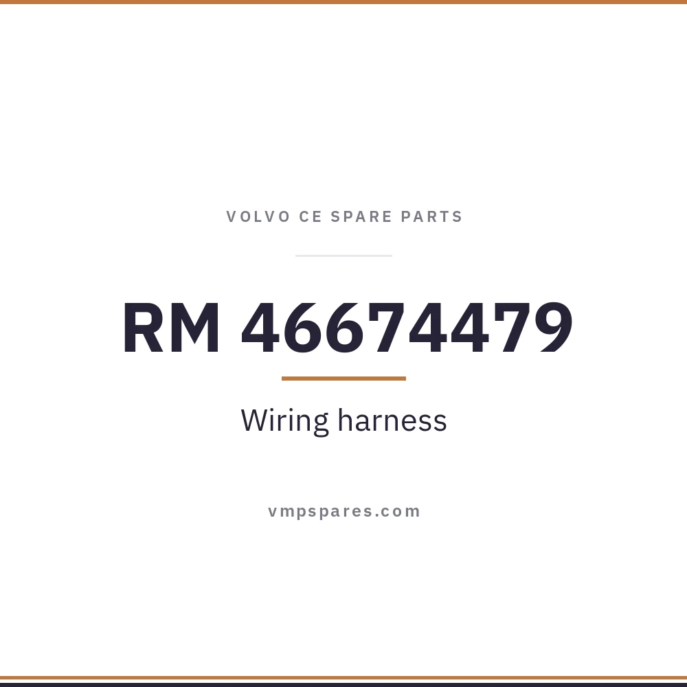 RM 46674479 – Wiring harness