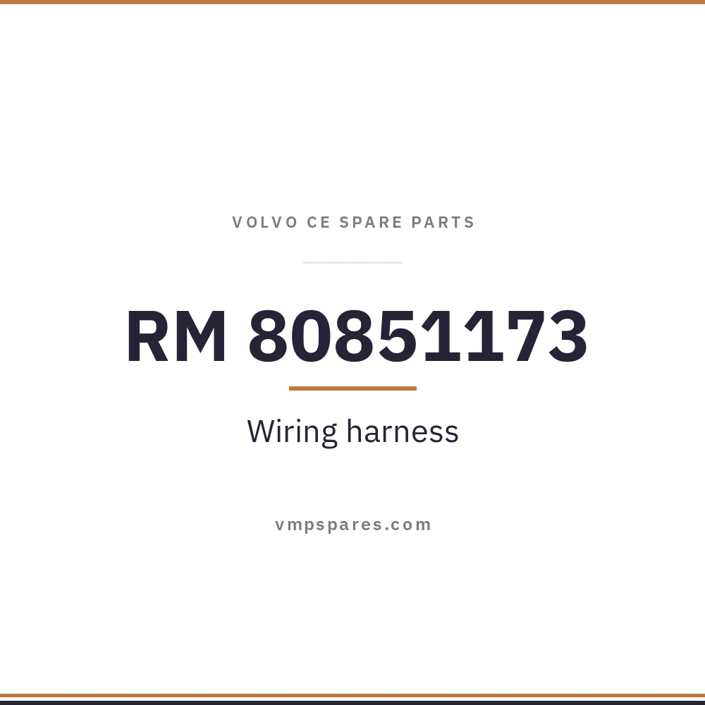 RM 80851173 – Wiring harness