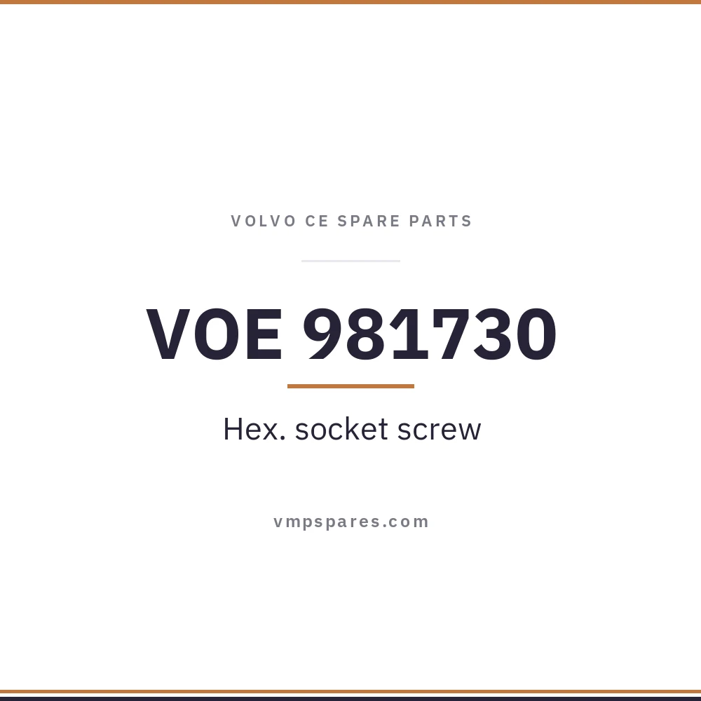 VOE 981730 – Hex. socket screw