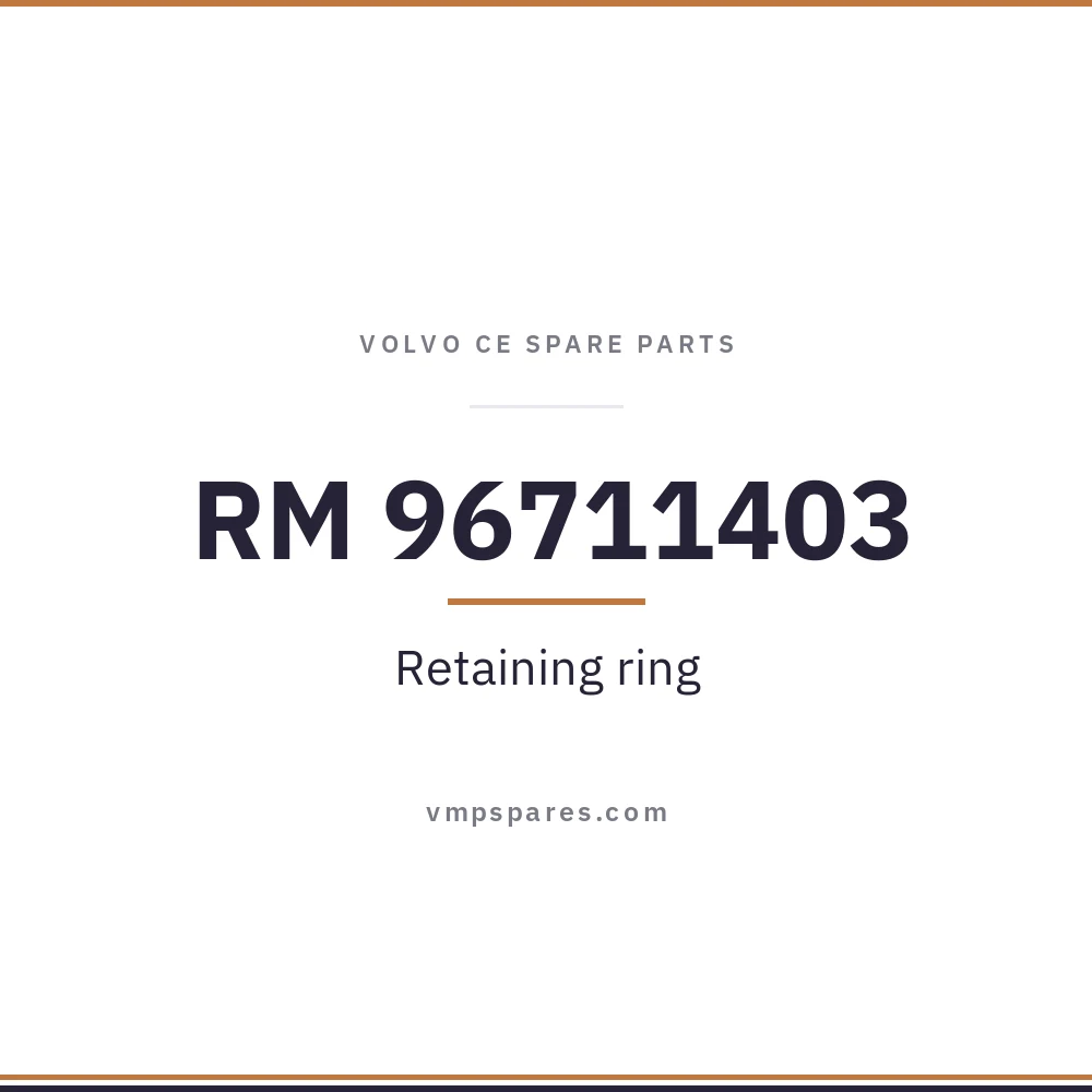 RM 96711403 – Retaining ring