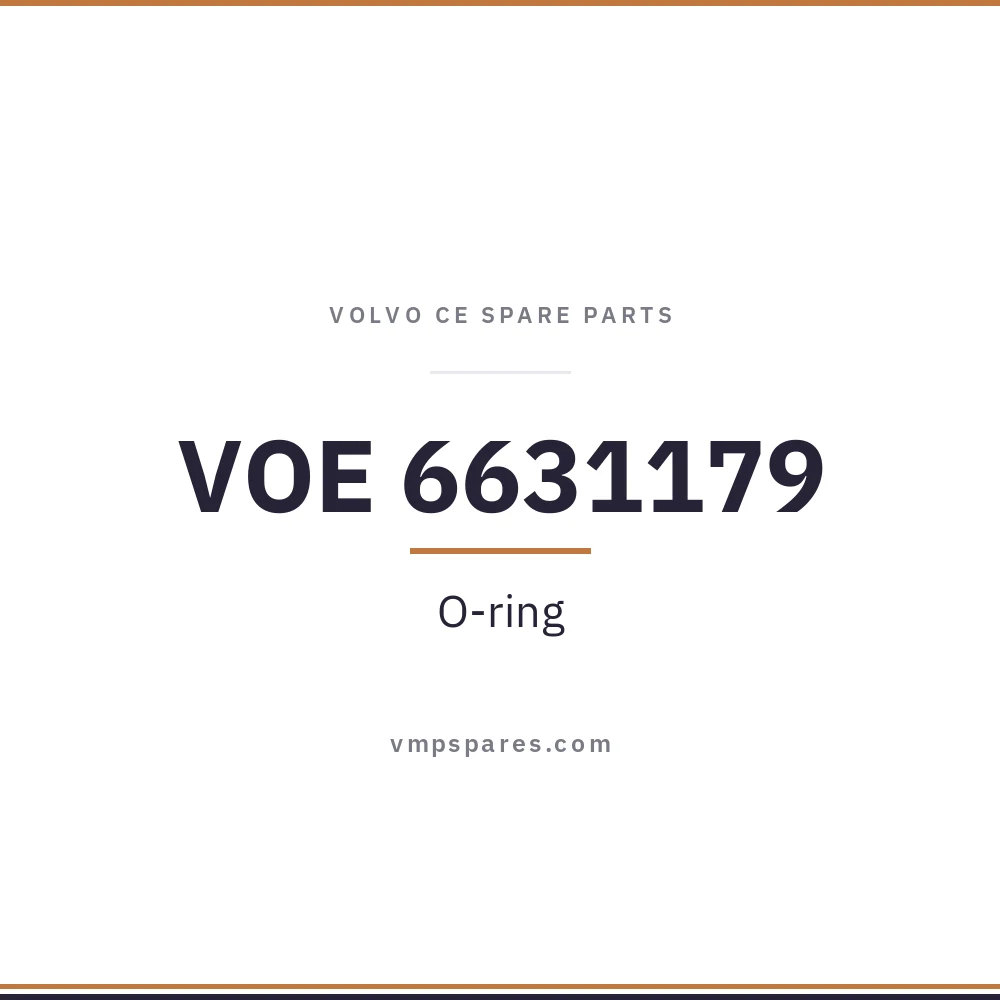 VOE 6631179 – O-ring